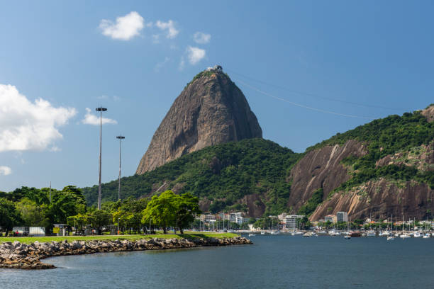 splendida vista sulla montagna sugar loaf in una giornata di sole - urca rio de janeiro rainforest brazil foto e immagini stock