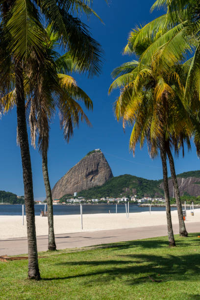 istock Beautiful view to Sugar Loaf Mountain from an empty beach 1240048071