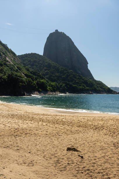 bella vista su sugar loaf mountain da una spiaggia vuota - urca rio de janeiro rainforest brazil foto e immagini stock