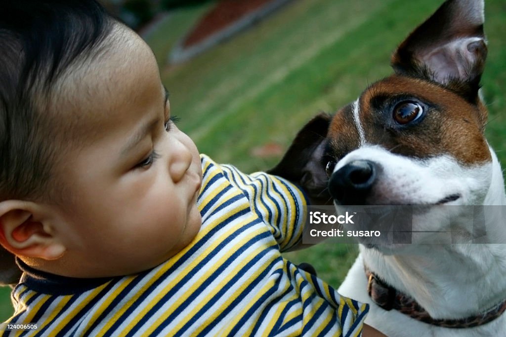 Best friend Best friends Dog Stock Photo