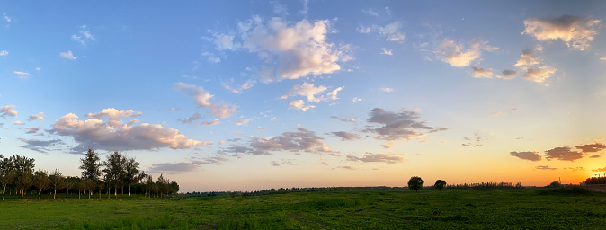 Empty grassland and sky at evening time