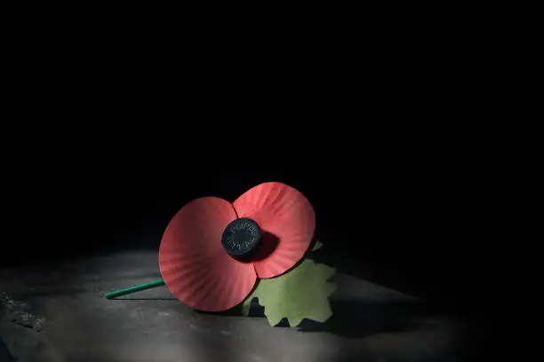 Creatively lit concept image for World War remembrance day where the red poppy is worn by millions around the world on their lapels as a symbol of remembrance to those fallen in war. Copy space.