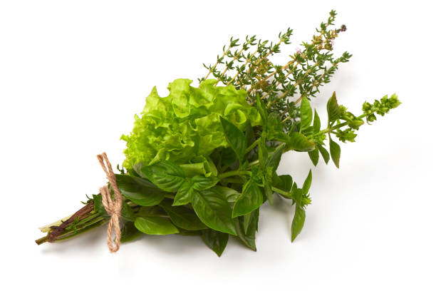 istock Fresh spices and herbs bouquet, isolated on white background. Dill, lettuce, thyme, sage. Isolated on white background. 1240103129