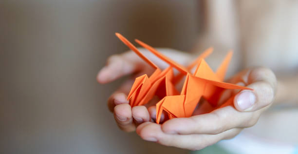 istock Origami birds in boy hands 1240111772