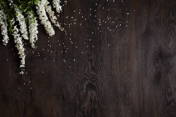 Dark brown wooden background decorated with white flowers, copy space