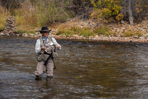 A senior woman, equipped with all the necessary gear, fly fishing in the Blue River, just north of Silverthorne, in Summit County, Colorado.