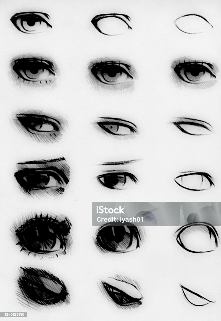 Ilustración de Tutorial De Dibujo De Ojo Humano Ojo En Estilo Anime Pestañas Femeninas y más Vectores Libres de Derechos de Ala de animal - iStock Ilustración de Tutorial De Dibujo De Ojo Humano Ojo En Estilo Anime Pestañas Femeninas y más Vectores Libres de Derechos de Ala de animal - iStock