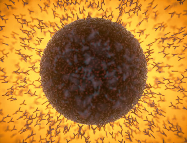 istock Y-Shaped Antibody Attacking Coronavirus Covid-19 1240137505