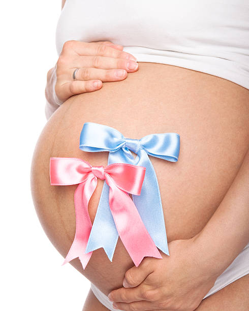 出産ツインベッド - human pregnancy flash ストックフォトと画像