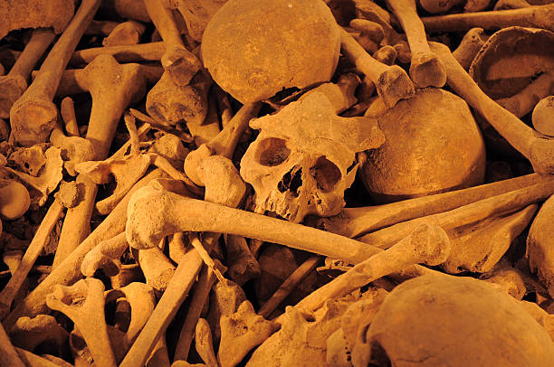 skulls and bones stock photo