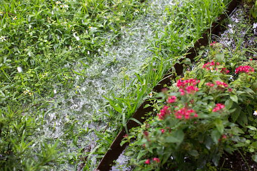 Rain flooding front lawn