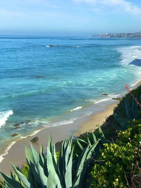 istock Laguna Beach, California 1240161961