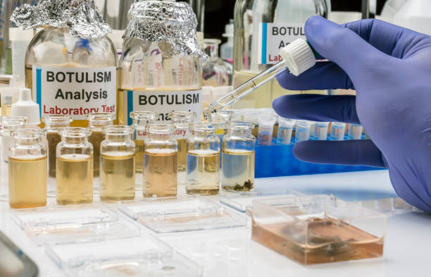 científicos de laboratorio experimentados que analizan una muestra de una lata de alimentos enlatados, infección por botulismo en personas enfermas, imagen conceptual - bacterium biology control food fotografías e imágenes de stock