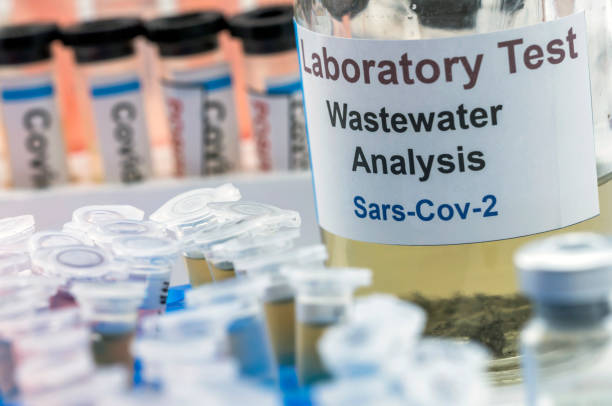 istock Wastewater samples, analysis of sars-cov-2 virus in patients infected by human coronavirus 229E, conceptual image 1240183175