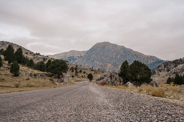 istock Road raising in to the mountains 1240185416