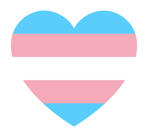 ilustrações de stock, clip art, desenhos animados e ícones de transgender pride flag, in heart shape icon on white background, vector illustration - passion sexual activity sexual issues sex