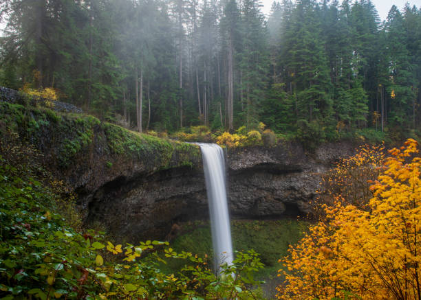 istock Long exposure of a waterfall at Silver Falls State Park 1240197069