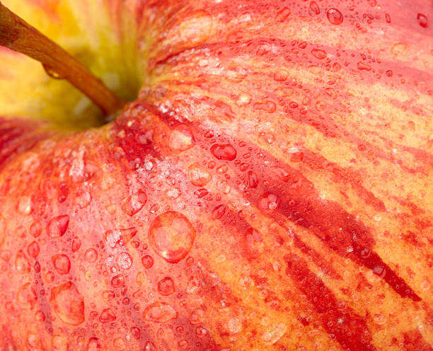 istock background of a red apple 124020158