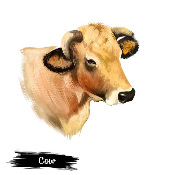 istock Cow head isolated on white background digital art illustration. Domestic brown young animal which brings milk, farm vertebrate mammal, face of beef, ox symbol of chinese horoscope, agriculture concept 1240220620