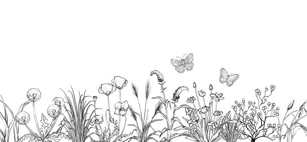 Black and white sketch, Field flowers and grass landscape Black and white sketch, Field flowers and grass landscape, vector illustration black and white drawings stock illustrations