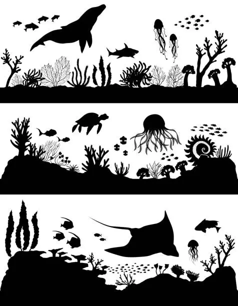 Vector illustration of Silhouette of sea coral reef, oceanic animal set.