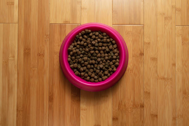 Pink dog bowl that is full of food