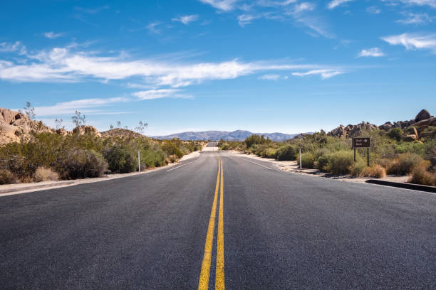 istock Access road to Skull Rock in Joshua Tree National Park 1240255193