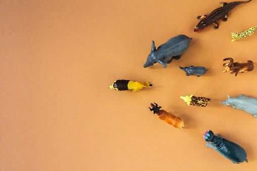 plastic toy figures of animals. animals follow the lion. concept of nature protection. space for text, top view.