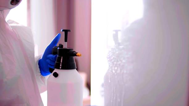 istock Arm of a person who is using a big spray 1240265502
