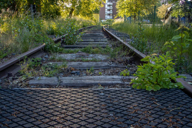 some disused railway tracks are overgrown with plants