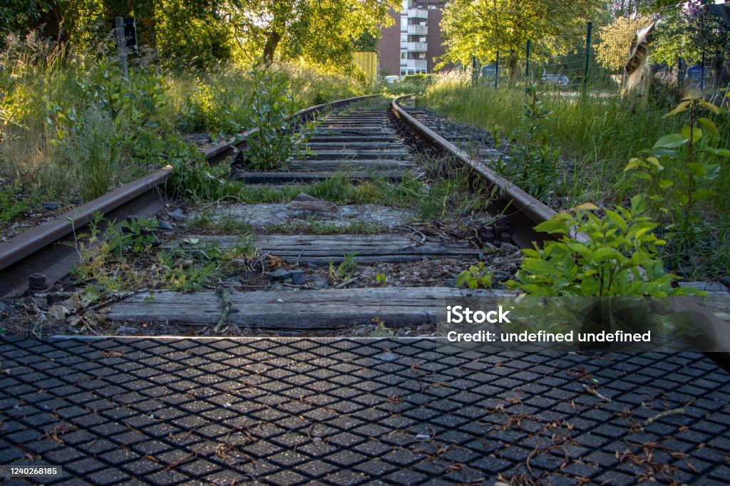 some disused railway tracks are overgrown with plants disused railway tracks are overgrown with plants Paris - France Stock Photo