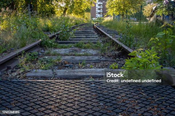 Some Disused Railway Tracks Are Overgrown With Plants Stock Photo - Download Image Now