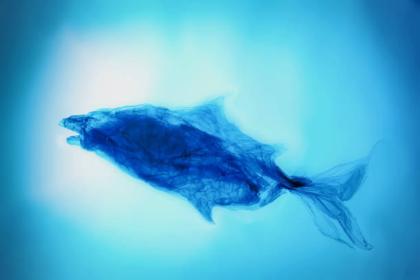 istock Plastic bag floating in the ocean with copy space 1240274091