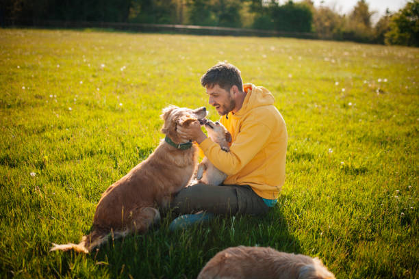 istock Young Man Having Fun With His Dogs 1240278939
