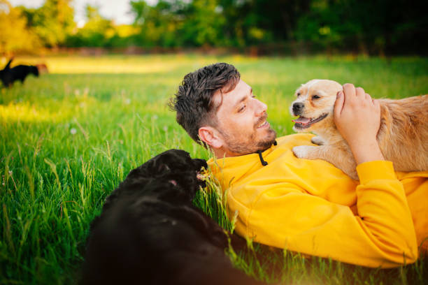 istock Young Man Having Fun With His Dogs 1240290568