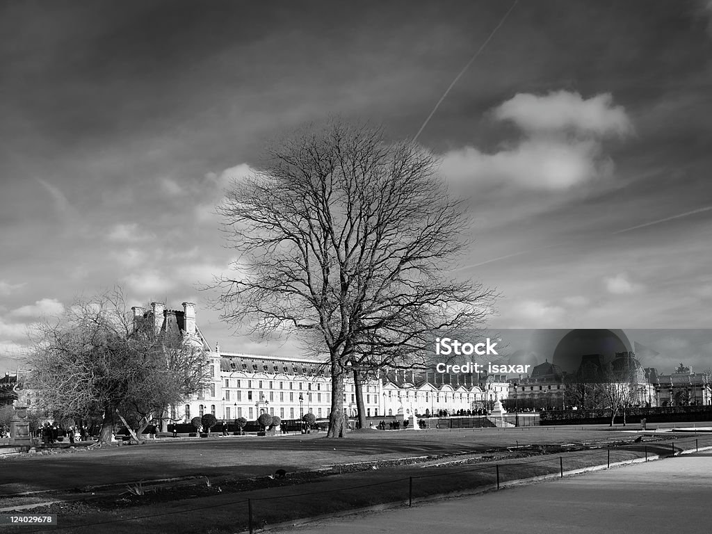 Paris -Tuileries Jardim - Royalty-free Ajardinado Foto de stock