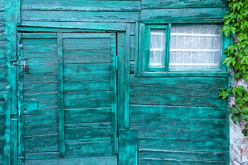 Green texture of a wooden door with a window. Wall covered with ivy. The window has a metal grill