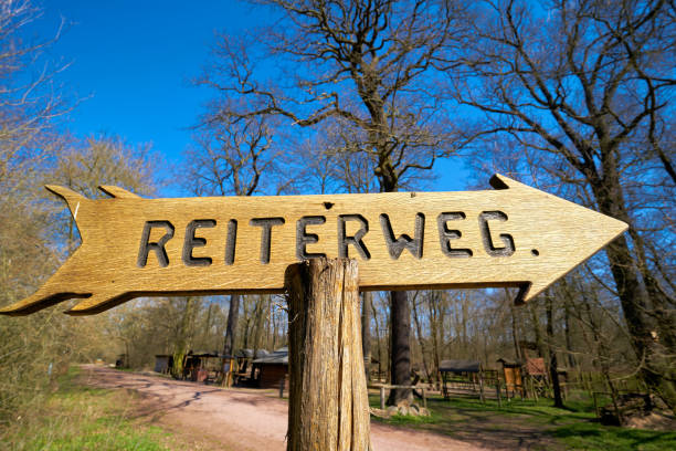 istock Signpost for a riding trail in a forest 1240327224