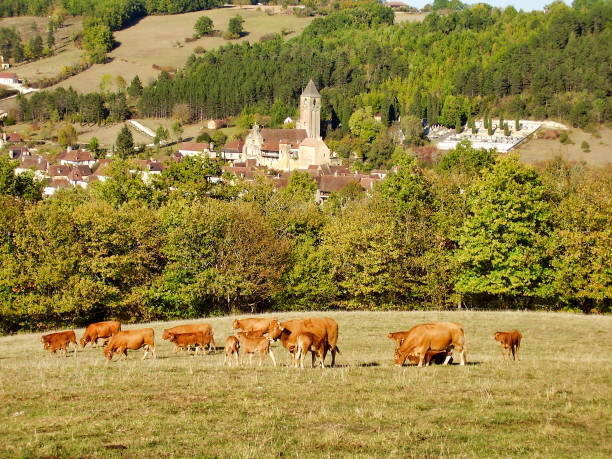 istock Medieval Village of Plazac 1240327570