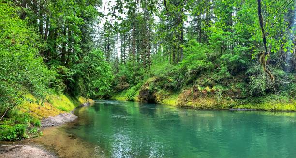 istock South Santiam river view, Cascadia state park 1240329400