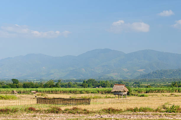 лао, muang фестиваль синг-сельский пейзаж - laos hut southeast asia shack стоковые фото и изображения