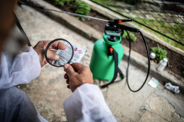 der landwirt liest die anweisungen zum sprühen der früchte gegen parasiten - spraying agriculture farm herbicide stock-fotos und bilder