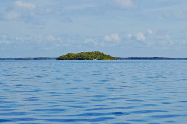 istock An Island on the Ocean 1240360406