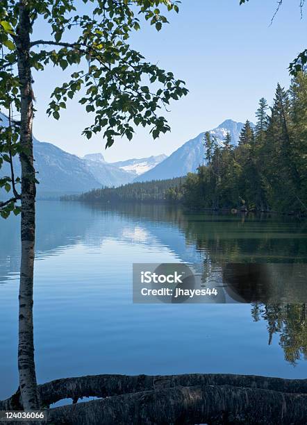 Lake Mcdonald Glacier National Park - zdjęcia stockowe i więcej obrazów Bez ludzi - Bez ludzi, Drzewo, Fotografika