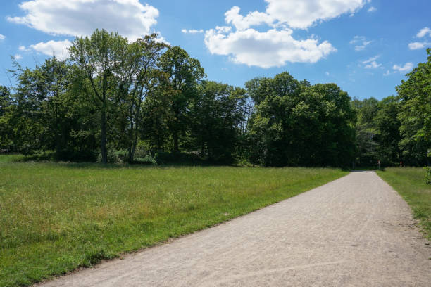 istock a path in the 