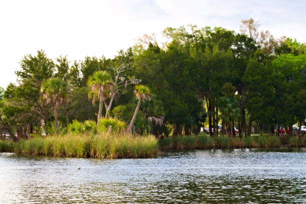 istock Beautiful View by the Homosassa Beach 1240365840