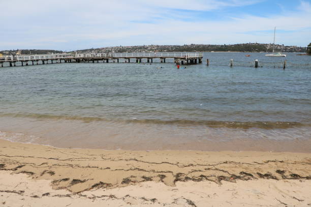 istock Clifton Gardens Beach in Sydney, Australia 1240384541