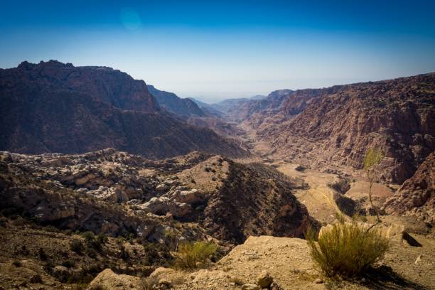 ダナ生物圏保護区 - east middle road desert ストックフォトと画像