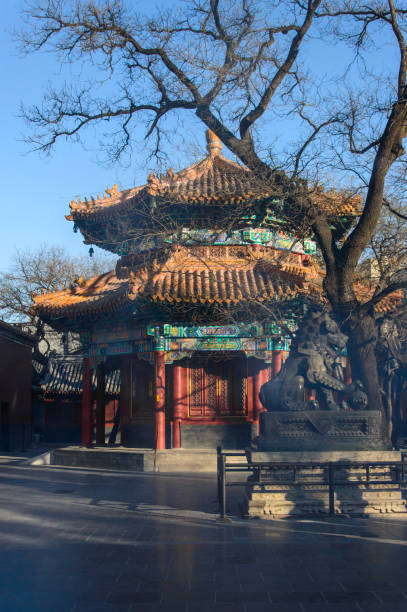 istock A classic Chinese building with numerous decorations on the temple grounds. 1240389907