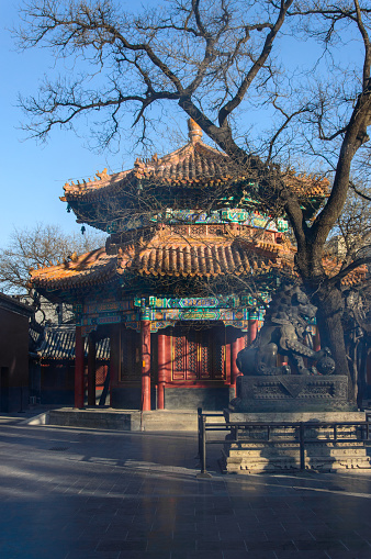 A classic Chinese building with numerous decorations on the temple grounds.